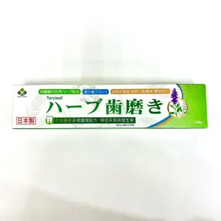【綠洲藥局】美口潔草本牙膏 100g 日本製
