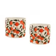 [Maine & Crawford] Mandarin Tree Ceramic Plant Pot - 16x15cm