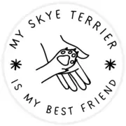 My Skye Terrier is My Best Friend - 100 Pack Circle Stickers 3 Inch - Dog Pet
