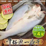 【顧三頓】台灣午仔魚一夜干(4尾_150-200G/尾)