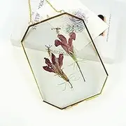 Mini Brass Wall Hanging Photo Frame, 5x7 Inches Glass Hanging Picture Artwork Display Frame, Double Glass Floating Frame Style Gallery Wall Frame for Picture, Pressed Flower, Poster, etc (Gold - Vertical)