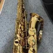 Classic AW01 Alto Saxophone Eb Tuning Lacquered Gold Flat E Tone Brass with Case