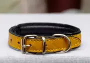Custom 4 Size Padded Leather Dog Collar in Yellow Personalized Gift For Dog