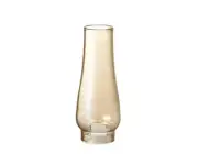 Coleman Lumiere Globe, This is a part of the Lumiere lantern. Bulk order welcome