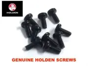 Genuine HOLDEN Remote Key Head Screws 10 Pack For Commodore VR VS VT VX VY VZ