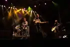 Jonnie Russell Nathan Willett Matt Maust and Matt Aveiro of Cold W- Old Photo