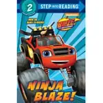 NINJA BLAZE! (BLAZE AND THE MONSTER MACHINES)