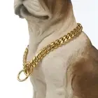 Encryption Dog Ring Pet Dog Necklace Golden Chain Dog Collar Cuban Chain