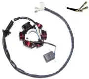 Eton Viper RX4-70, 2007+, ATV Magneto Stator Coil Pack