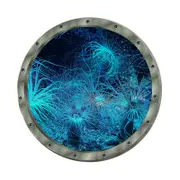 Nevenka Creative Removable Glow in The Dark Ocean View Wall Decals Coral Submarine Window Wall Sticker