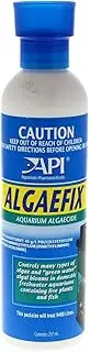 API Algaefix Algae Growth Control, 237 ml, (Pack of 1), APH196