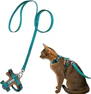 Duuclume Cat Harness and Leash Set, Adjustable Lightweight Puppy Vest Harness, Leather Anti-Escape Chest Harness with Reflective Strips for Small Dogs Cats (Green)