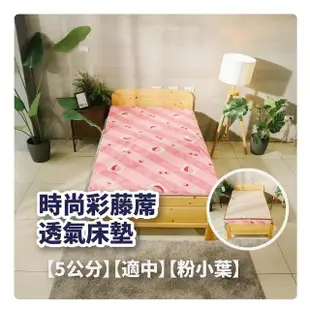 【BOSS BEDDING 小老闆寢具】雙人5尺冬夏亞藤透氣5公分床墊(折疊床｜雙層床｜薄床墊｜宿舍床｜露營床)