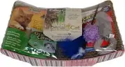 HAPPY KITTEN CAT STARTER KIT w SCRATCHING PAD POST, CAT NIP, TOYS, OAT GRASS NEW