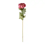 Blume Blush Chrysanthemum 113cm