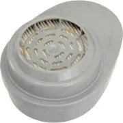 Msa 815363 Msa Advantage® Combination Cartridge, Acid Gas/P100, 2/Pack,