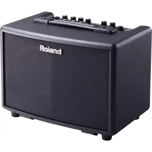 ✦知音樂器✦ Roland AC-33 攜帶式木吉他音箱