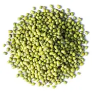 Mung Beans Green Moong Dal Whole Natural Organic Dry Healthy Food Sprouts New