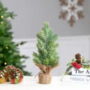 Northlight 11.75" Frosted Icy Pine Tree in Burlap Base Christmas Decoration