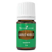 Laurus Nobilis Essential Oil