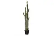 Rogue Saguaro Cactus Garden Pot 152cm Green