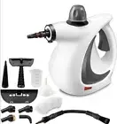 Kill Bed Bugs & Their Eggs Quickly Efficient Non Toxic Method Use This Steamer