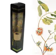 bulk 24 Scented Oil Diffuser Lemongrass Eucalyptus 50Ml 8 Rat Sticks therapy Fragrance
