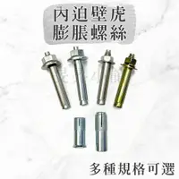 在飛比找蝦皮購物優惠-膨脹螺絲 【台灣製造】 內迫壁虎 凸牙壁虎 鑽尾 螺絲 水泥