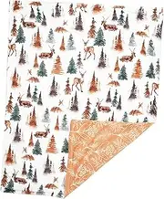 HOMOBABE Cozy Flannel Nap Blanket for Plush Blanket with Cute Patterns Sized for Soft and Gentle Skin for All Seasons