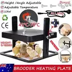13W Brooder Heating Plate 10" x 10" chicks Chicken Heat Lamp Plate Black NEW
