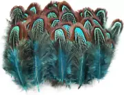 200 Pcs Natural Pheasant Plumage Feathers 2-3 Inches Plumage Feathers for Sewing