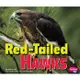 Red-Tailed Hawks/Hill 文鶴書店 Crane Publishing