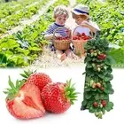 Multi-function Plant Grow Bags Vertical Planter Pots for Planter
