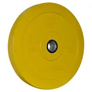15Kg Coloured Bumper Weight Plate