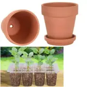Set of 3 10cm Terra Cotta Terracotta Pot Science 10 & Seedling Germination Tray