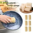 All Natural Loofah Sponge Pack of 6 Bath & Shower Exfoliating Sponge Loofah U8F4