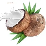 PREMIUM HIGHLY SCENTED REED DIFFUSER REFILLS - Coconut Fragrance