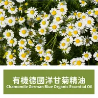 在飛比找蝦皮購物優惠-【馥靖精油】有機德國洋甘菊精油 Chamomile Germ