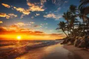 Sunrise Over Tropical Beach Palm Tree Ocean Photo Art Print Poster 24x36 inch