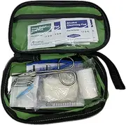 Roylind First Aid Kit (30 Pieces)