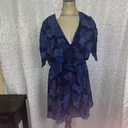 TED BAKER London Julea Ruched Sleeve Blue Floral Dress, NWT, Size 2