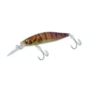 Daiwa Morethan Baysole Minnow 73S DR Wano Shrimp sea bass lure Stylish anglers