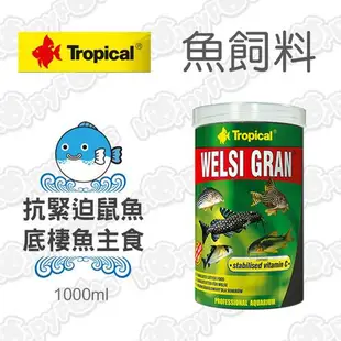 德比克Tropical 抗緊迫鼠魚、底棲魚主食 1000ml