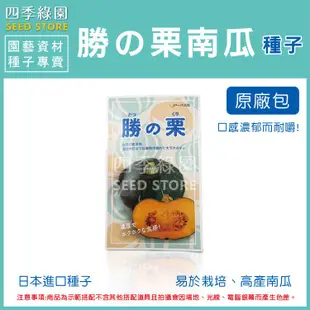 勝之栗南瓜  南瓜種子 種子原廠包 日本進口種子【四季綠園】