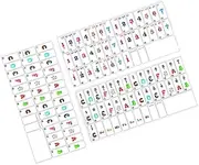 YARNOW 3Pcs Piano Keyboard Note Stickers for Key Electronic Piano Removable Cartoon Alphabet Labels for Beginners Music Note Guide Easy to Learn Piano Key Accessories
