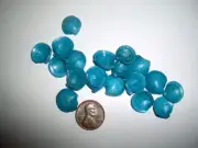 Blue Dyed Small Clam Shells - package of 1oz