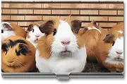 [VFMKT] Slim Metal Business Card Holder Portable Business Card Case Pocket Name Card Holder Guinea Pigs Wallet for Men Women Office Travel, style, One Size