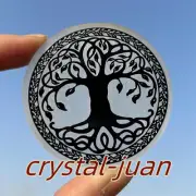 2.3" Natural Selenite Tree of life Crystal for disc quartz Crystal Reiki 1pc