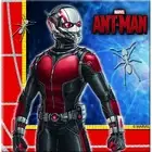 Ant-Man Paper Disposable Napkins (Pack of 20) (SG28100)