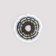 [Miu Miu] Miu Miu-Brown And Light Blue Cotton Scrunchie-Donna OS OS